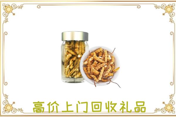 莆田周边回收虫草